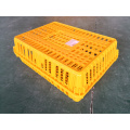 high quality large size transport crate for live poultry